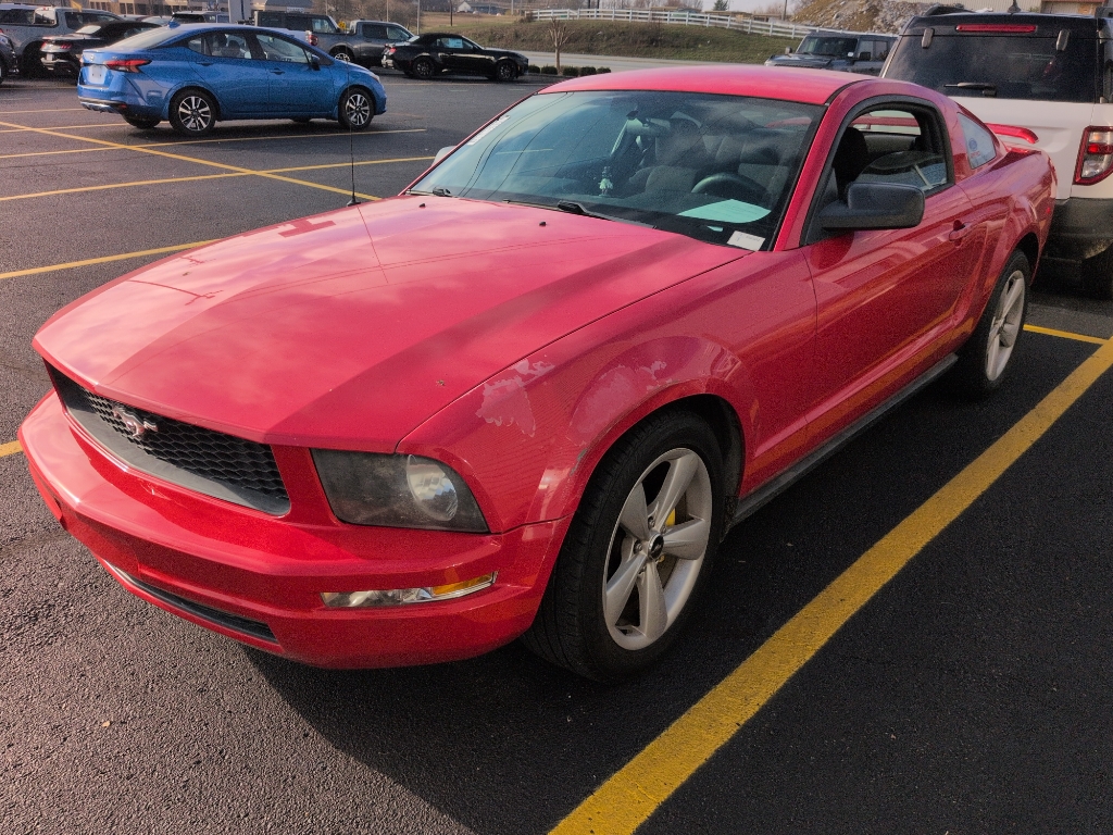 2008 Ford Mustang Deluxe's photo