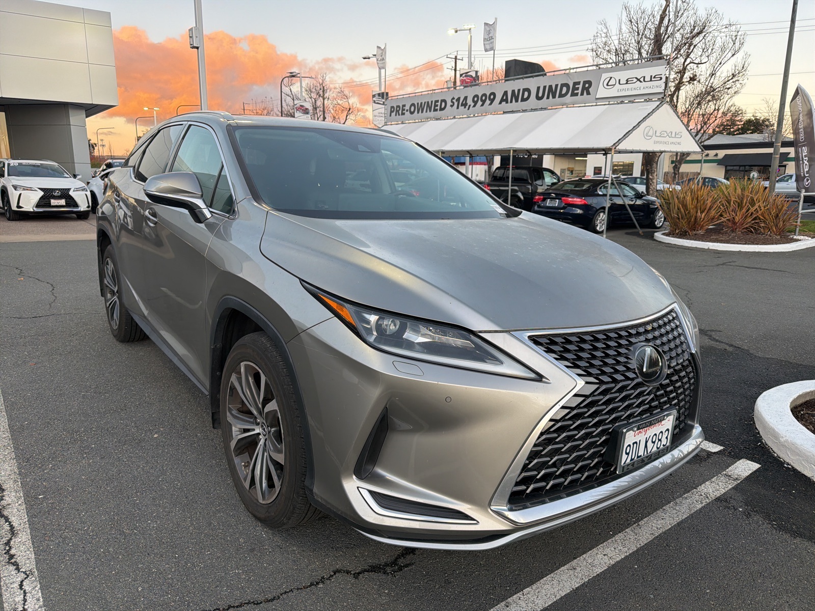 2022 Lexus RX 350's photo