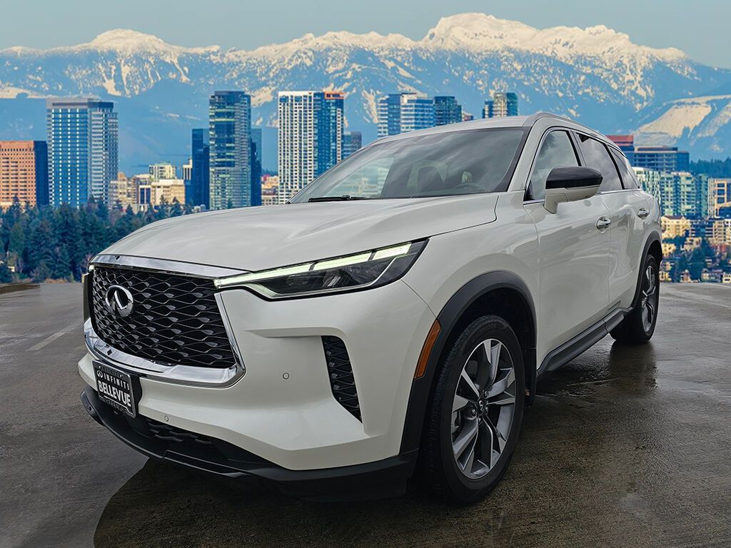 2023 Infiniti QX60 Luxe photo 3