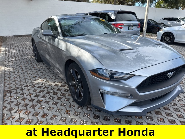 2023 Ford Mustang EcoBoost's photo