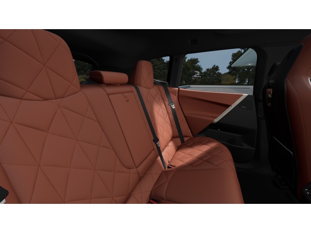 2026 Bmw iX photo 12