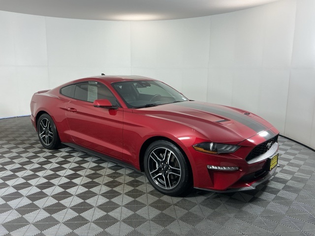 2023 Ford Mustang EcoBoost Premium photo 3