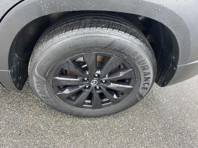 2024 Mazda CX-50 2.5 S Preferred photo 14