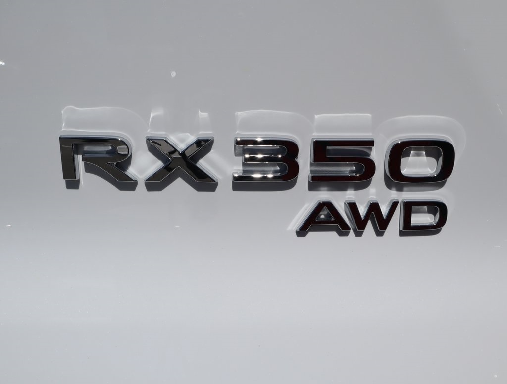 2025 Lexus RX 350 photo 20