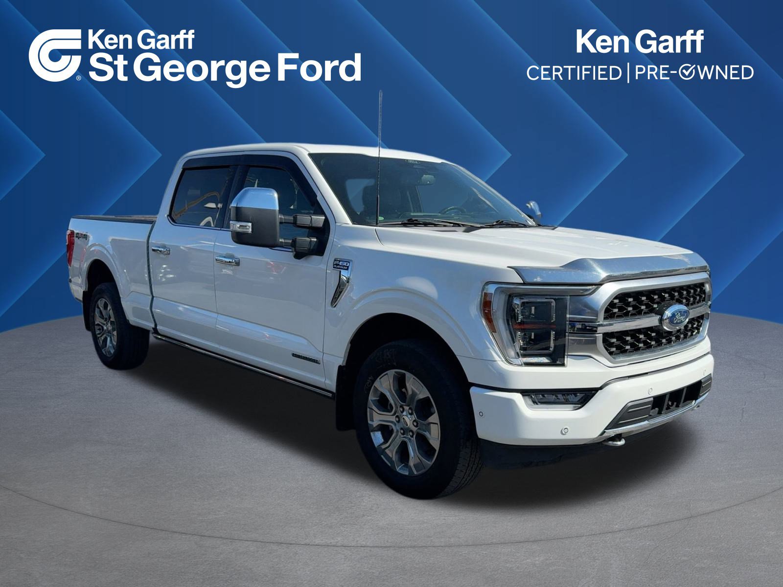 2022 Ford F-150 Platinum's photo
