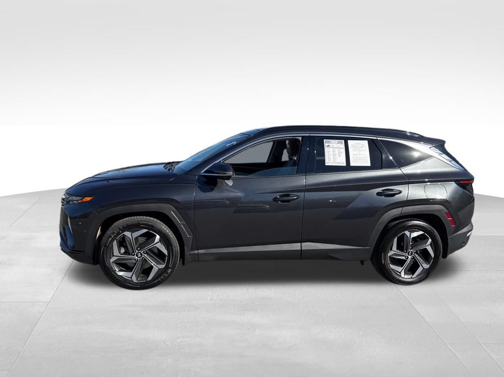 2023 Hyundai Tucson Limited photo 4