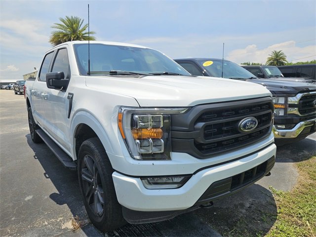 2023 Ford F-150 XL photo 3