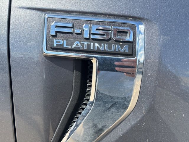 2021 Ford F-150 Platinum photo 2