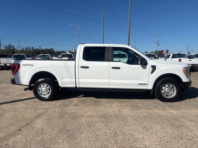 2022 Ford F-150 XL's photo