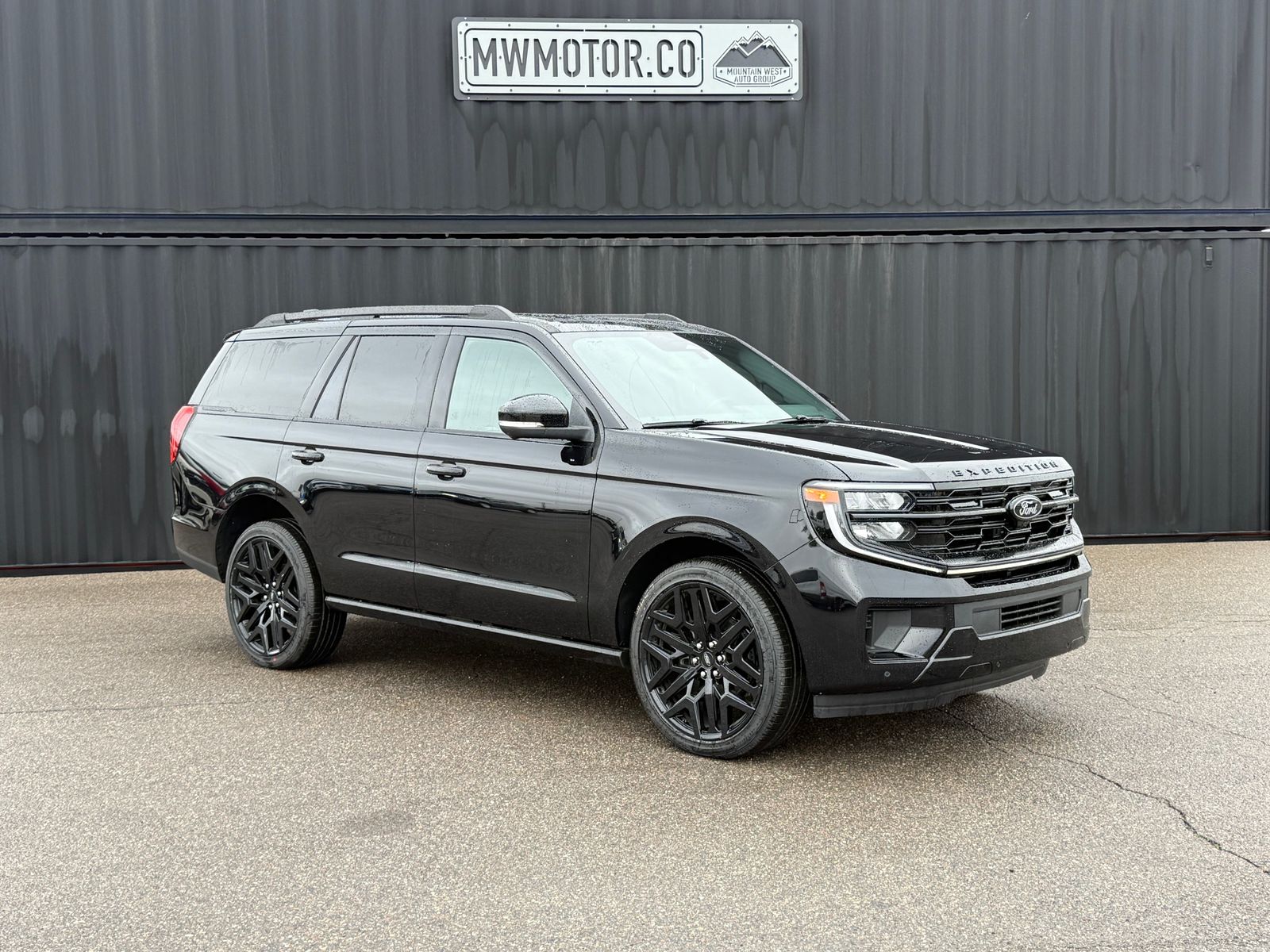 2026 Ford Expedition Platinum's photo