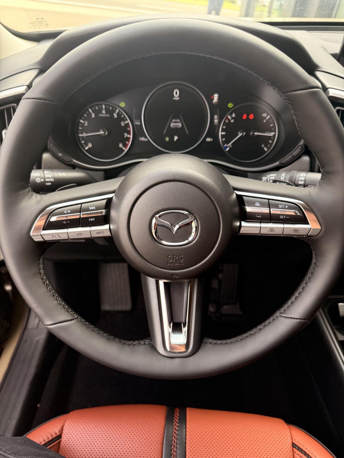 2025 Mazda CX-50 2.5 Turbo Premium photo 8