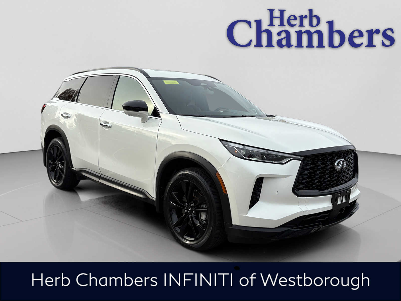 2025 INFINITI QX60 LUXE's photo