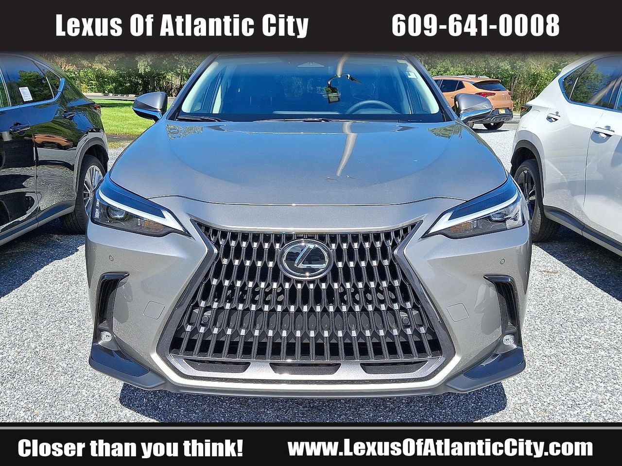 2026 Lexus NX 350 Premium photo 2