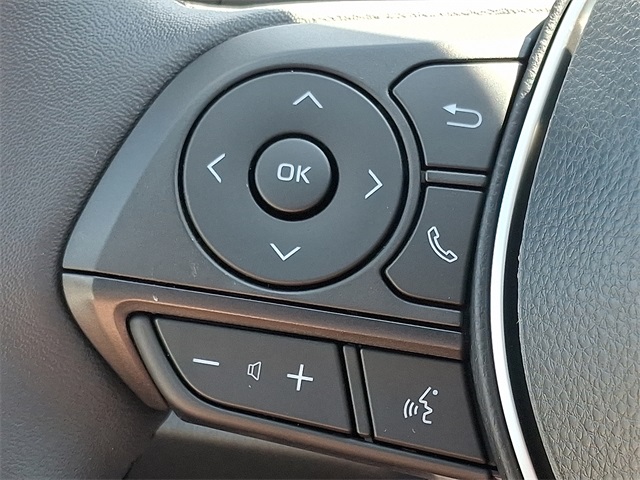 2025 Toyota RAV4 XLE photo 16