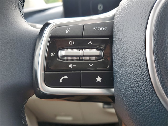 2026 Kia Carnival SX photo 19