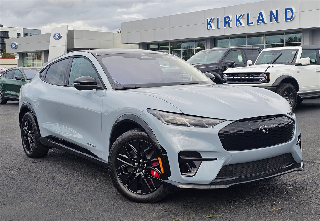 2025 Ford Mustang Mach-E Premium AWD's photo