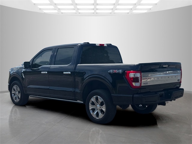 2021 Ford F-150 Platinum photo 5