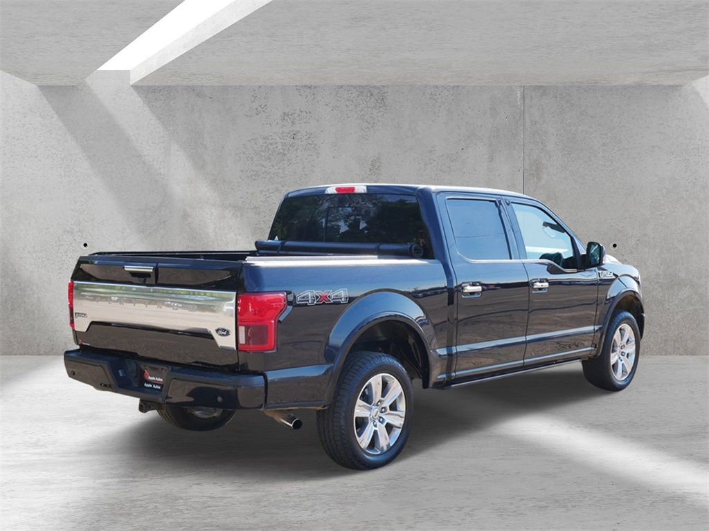 2019 Ford F-150 Platinum photo 6