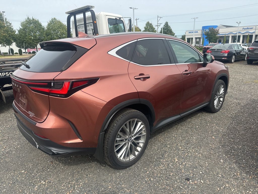 2025 Lexus NX 350h Luxury photo 4