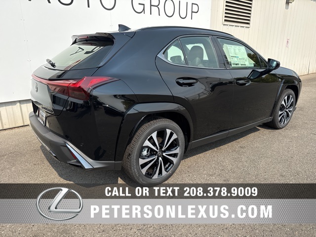 2025 Lexus UX F SPORT Design photo 4