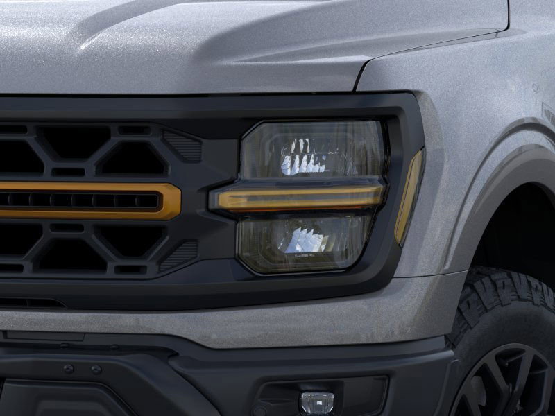 2025 Ford F-150 Tremor photo 13