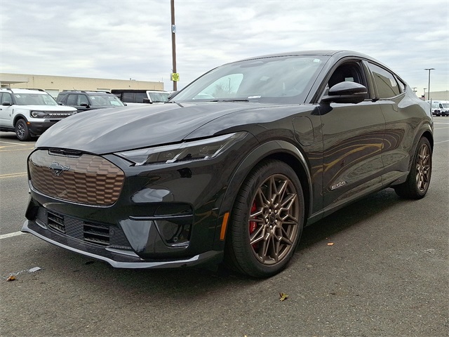 2025 Ford Mustang Mach-E GT photo 3