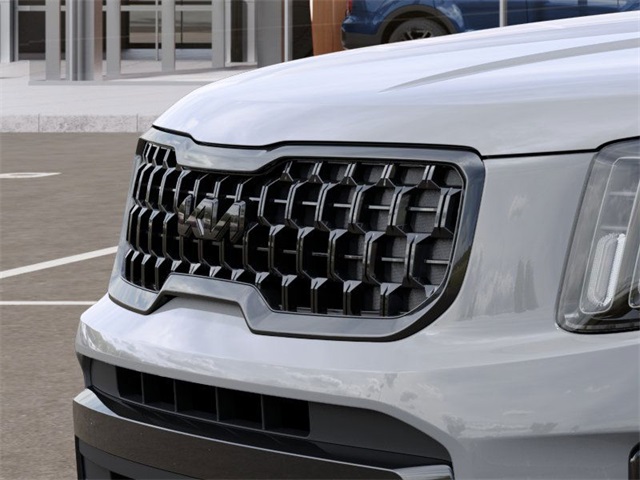 2025 Kia Telluride EX X-Line photo 8