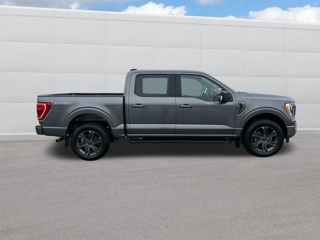 2023 Ford F-150 XLT photo 2