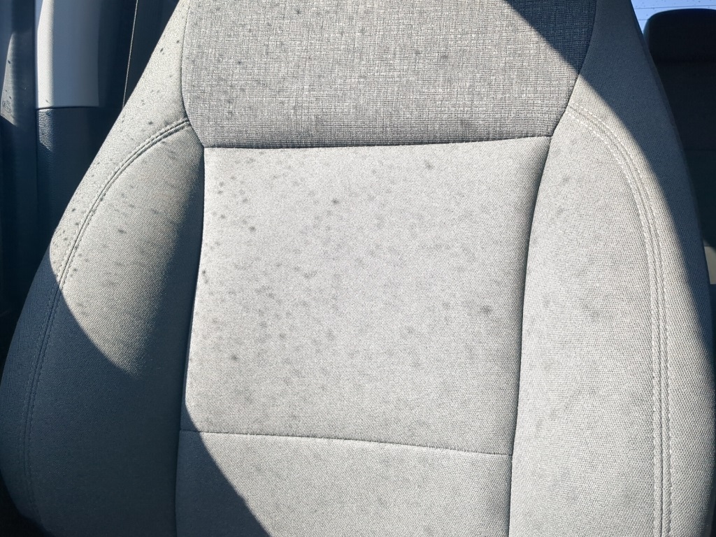 2024 Ford F-150 XLT photo 14