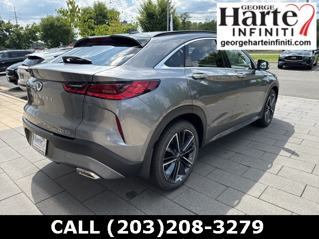 2025 Infiniti QX55 Luxe photo 6