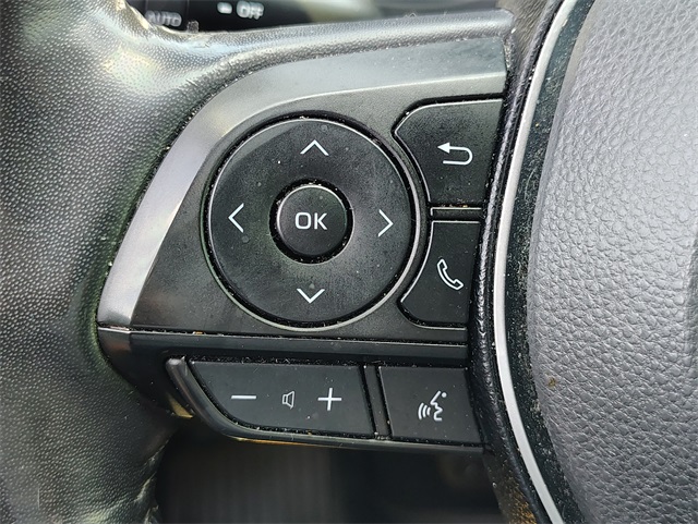 2019 Toyota RAV4 Limited photo 17
