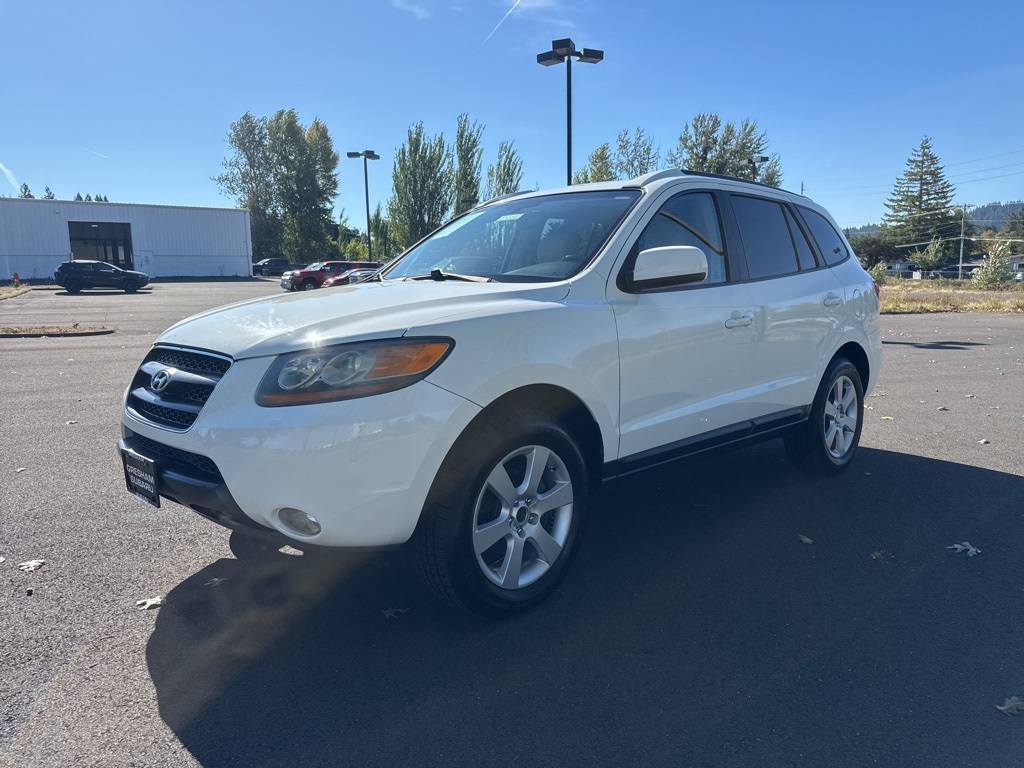 2007 Hyundai Santa Fe SE Sport photo 3