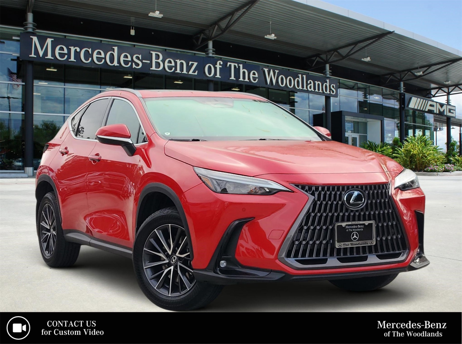 2024 Lexus NX 250's photo