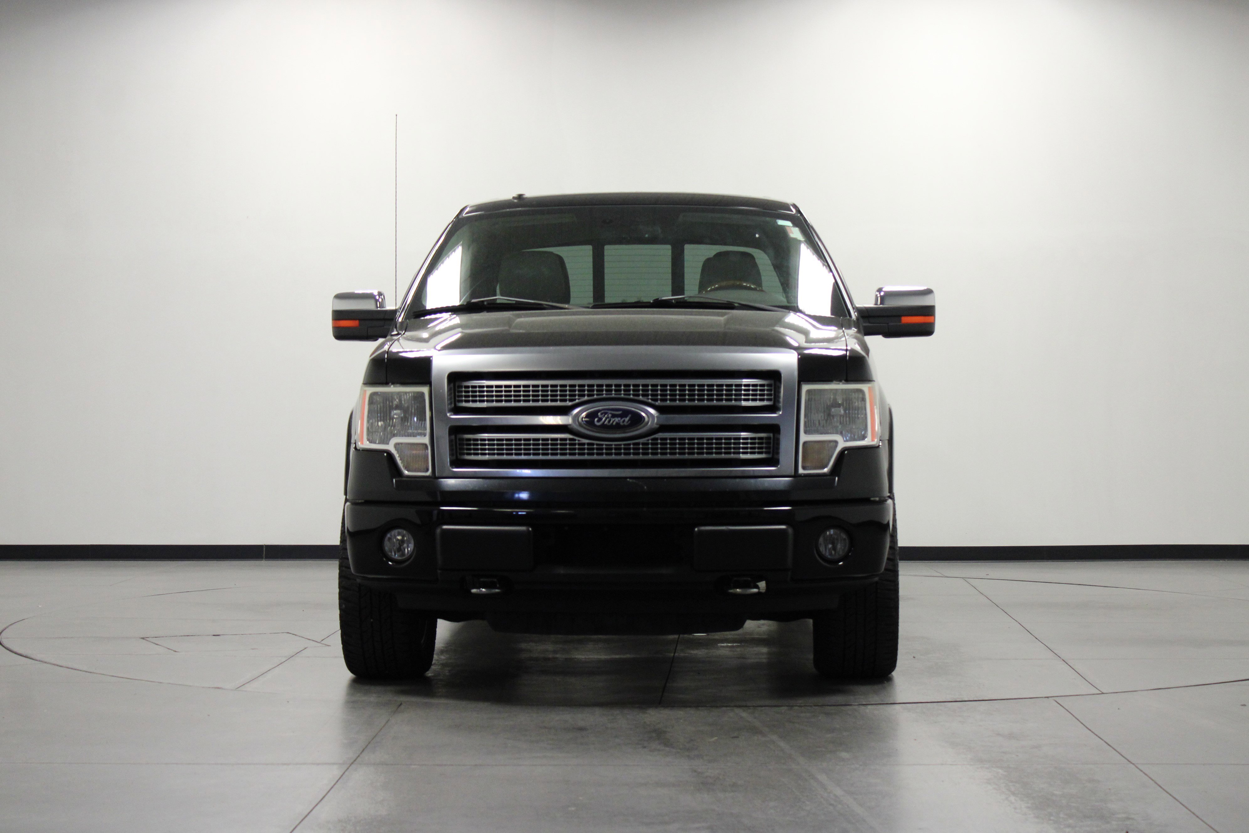 2010 Ford F-150 Platinum photo 8