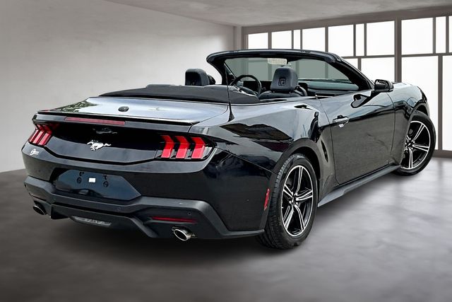 2024 Ford Mustang EcoBoost Premium photo 3
