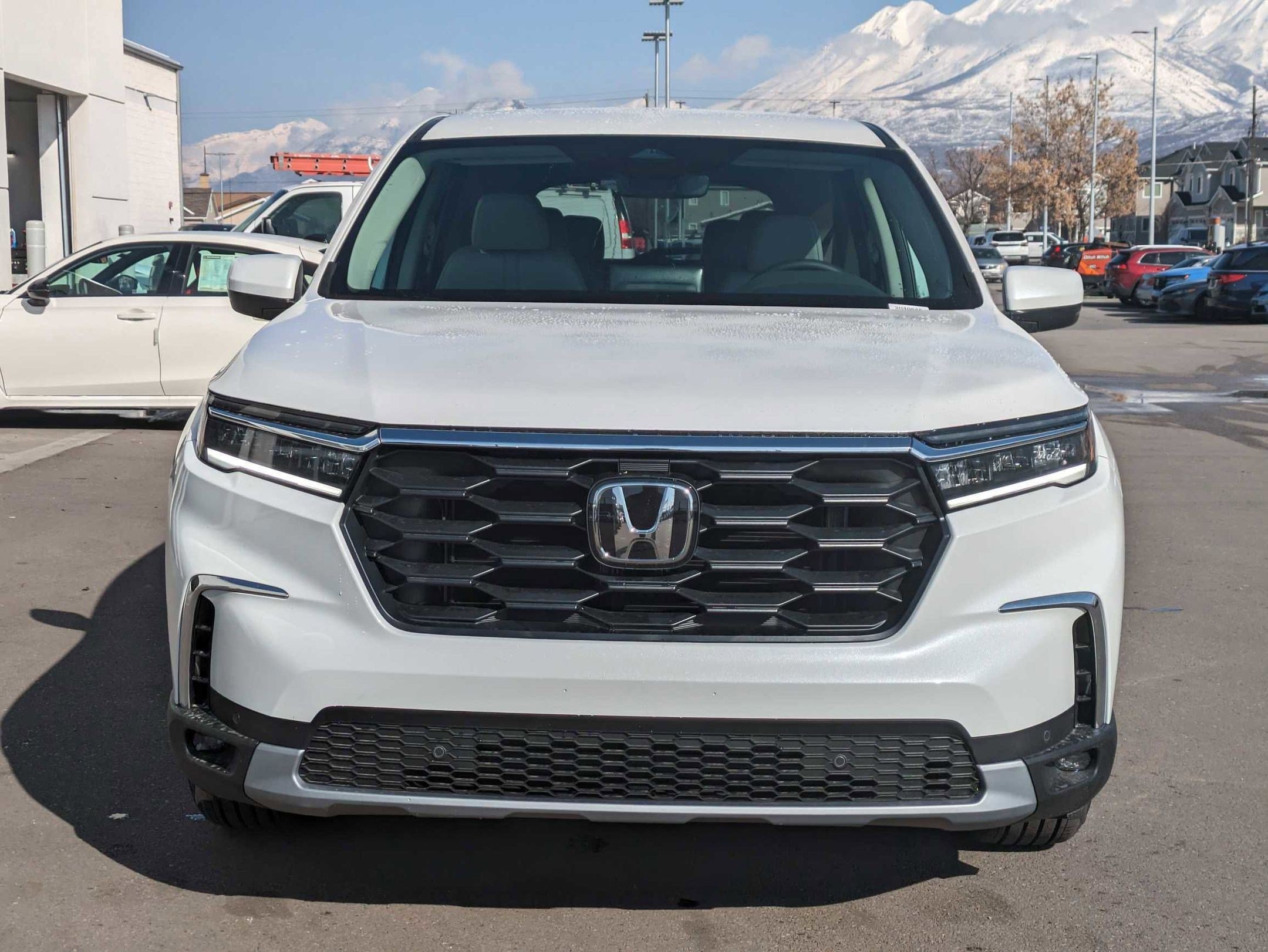 2025 Honda Pilot EX-L photo 6