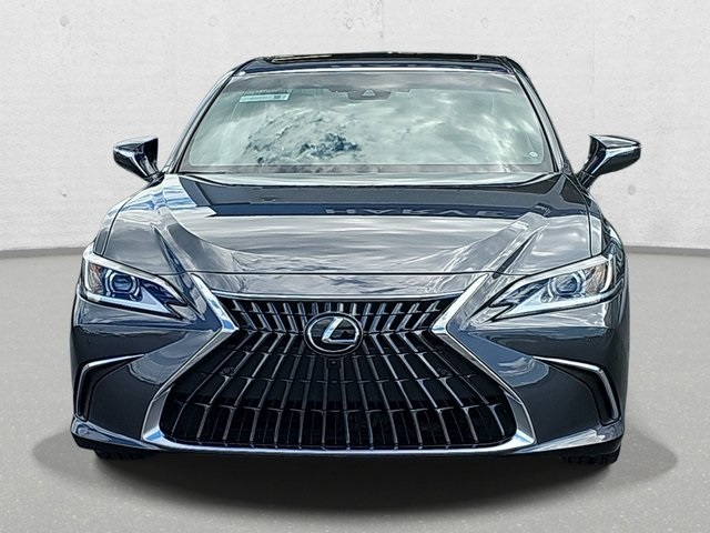 2024 Lexus ES 300h Luxury photo 2