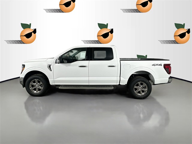 2024 Ford F-150 XLT photo 4