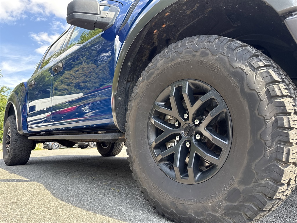 2017 Ford F-150 Raptor photo 9