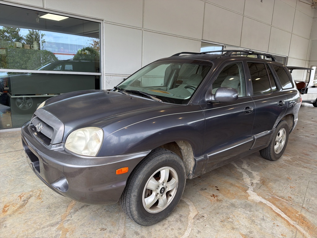 2005 Hyundai Santa Fe GLS's photo