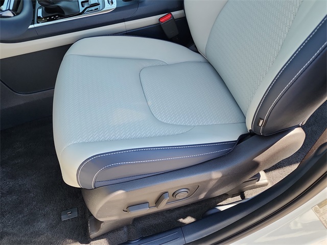 2026 Kia Carnival SX Prestige photo 11