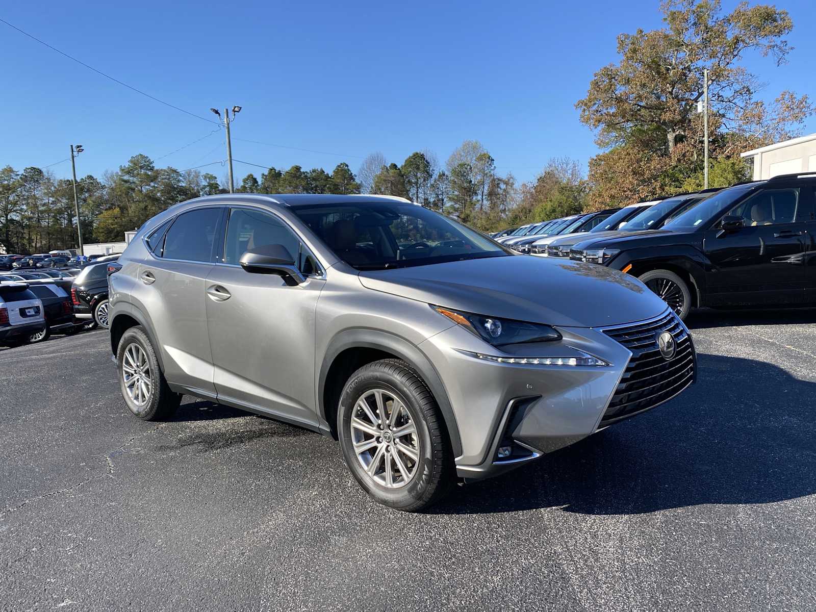 2020 Lexus NX 300's photo