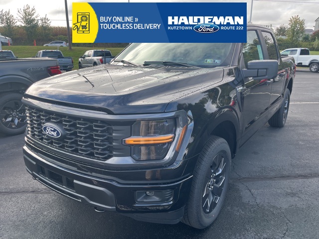 2025 Ford F-150 STX's photo