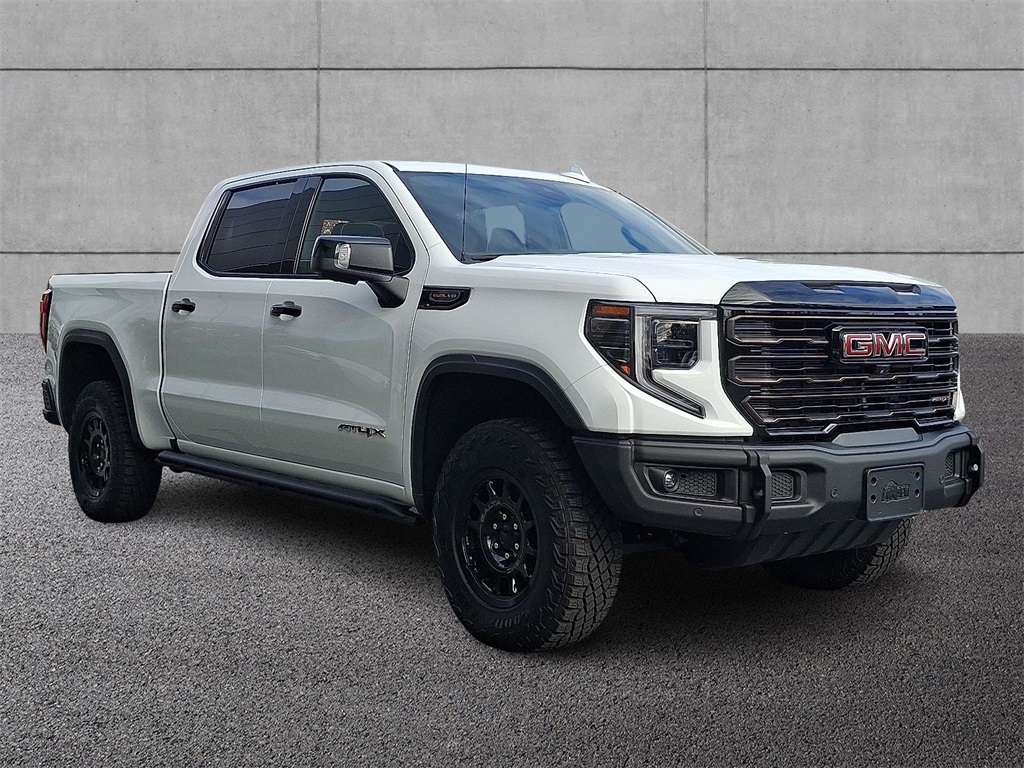 2023 Gmc Sierra 1500 AT4X photo 3