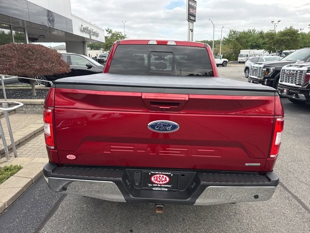 2019 Ford F-150 XL photo 10