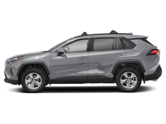 2025 Toyota RAV4 XLE photo 3