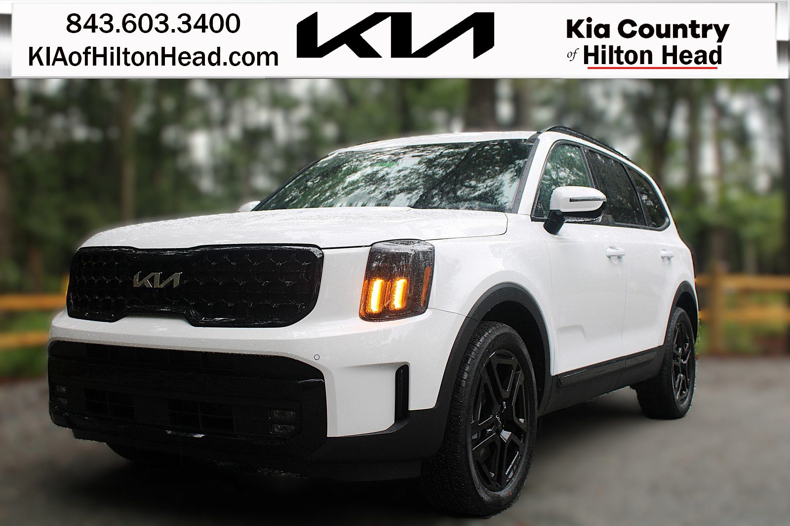 2025 Kia Telluride SX Prestige X-Line's photo