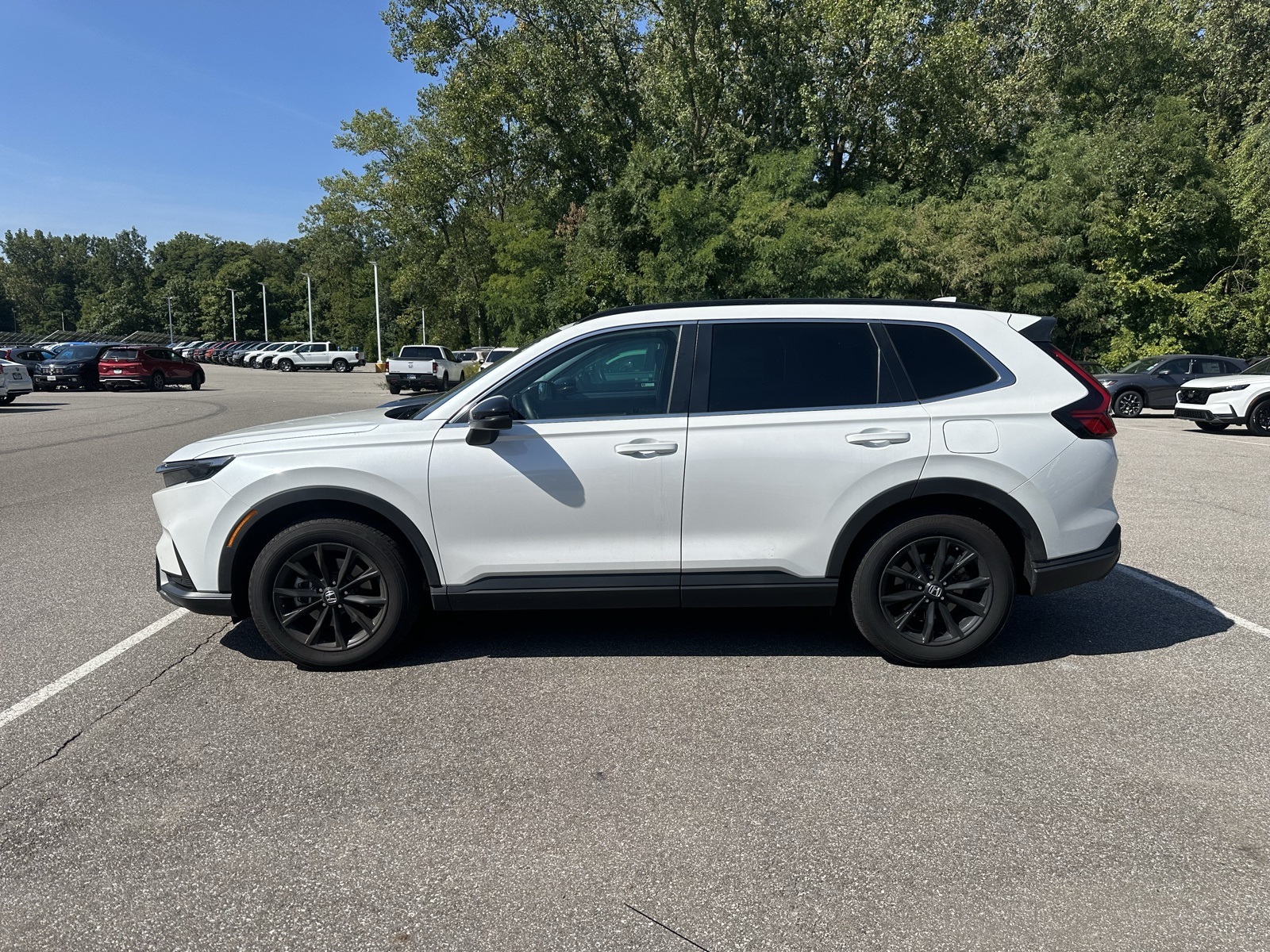 2025 Honda CR-V Hybrid Sport-L photo 2