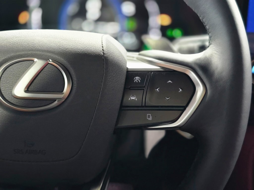 2025 Lexus NX 450h+ Luxury photo 15