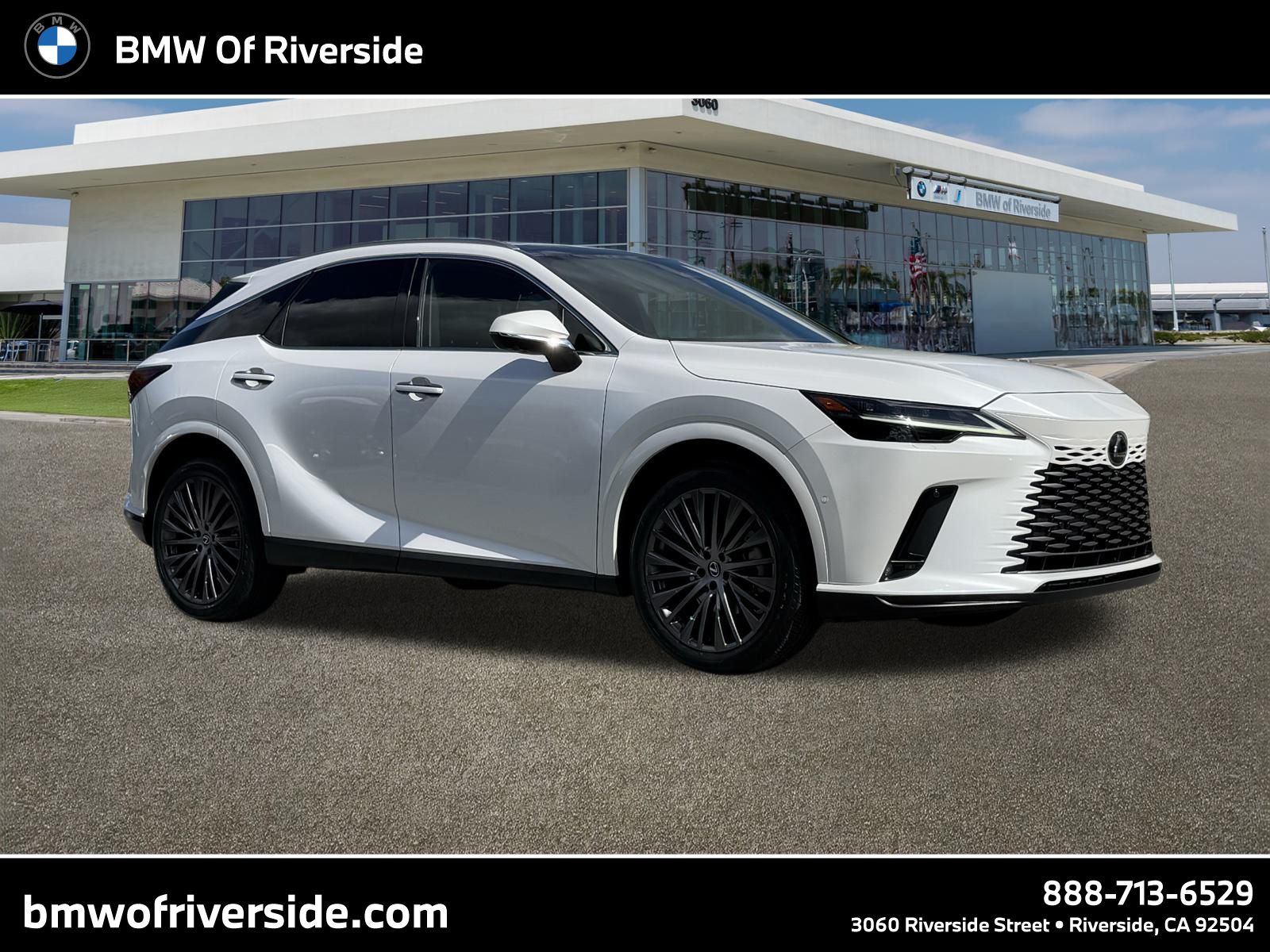 2024 Lexus RX 350's photo